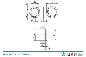 Кольцо стопорное DIN 983